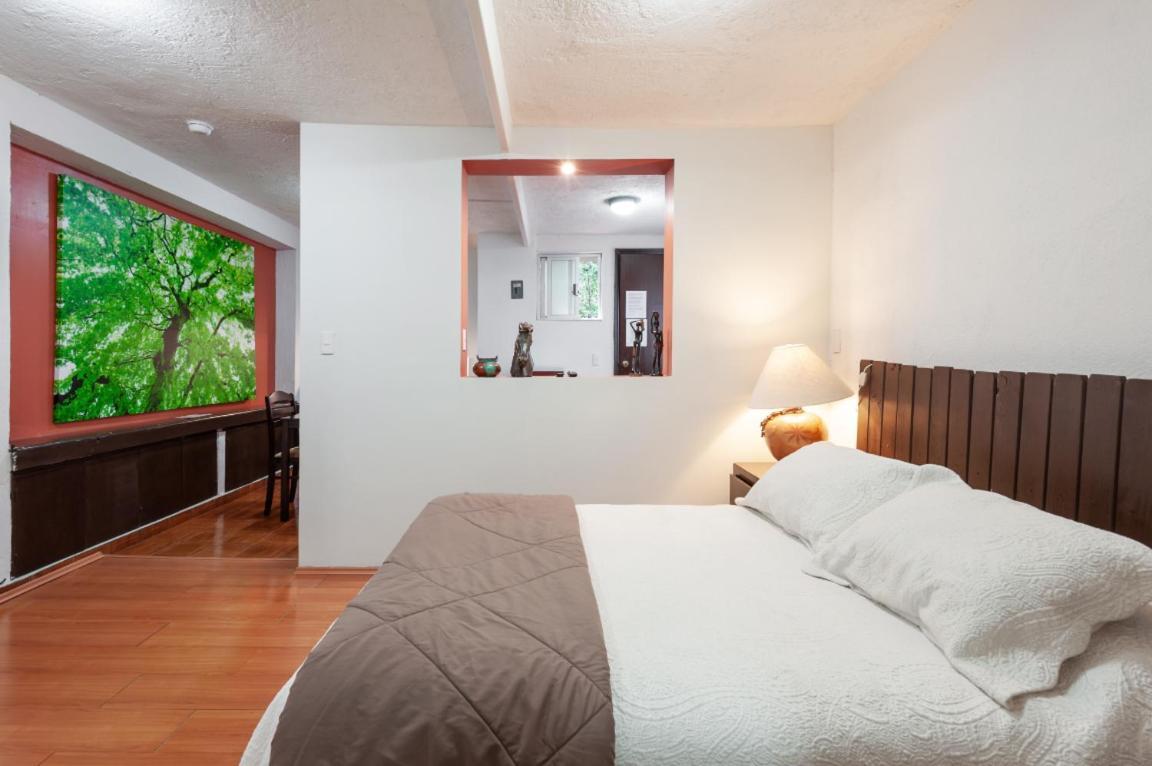 Suite 5A, Altavista, Garden House, Welcome To San Angel Meksyk Zewnętrze zdjęcie