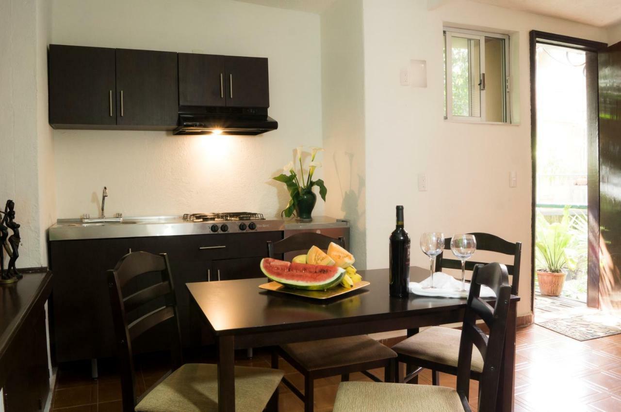 Suite 5A, Altavista, Garden House, Welcome To San Angel Meksyk Zewnętrze zdjęcie