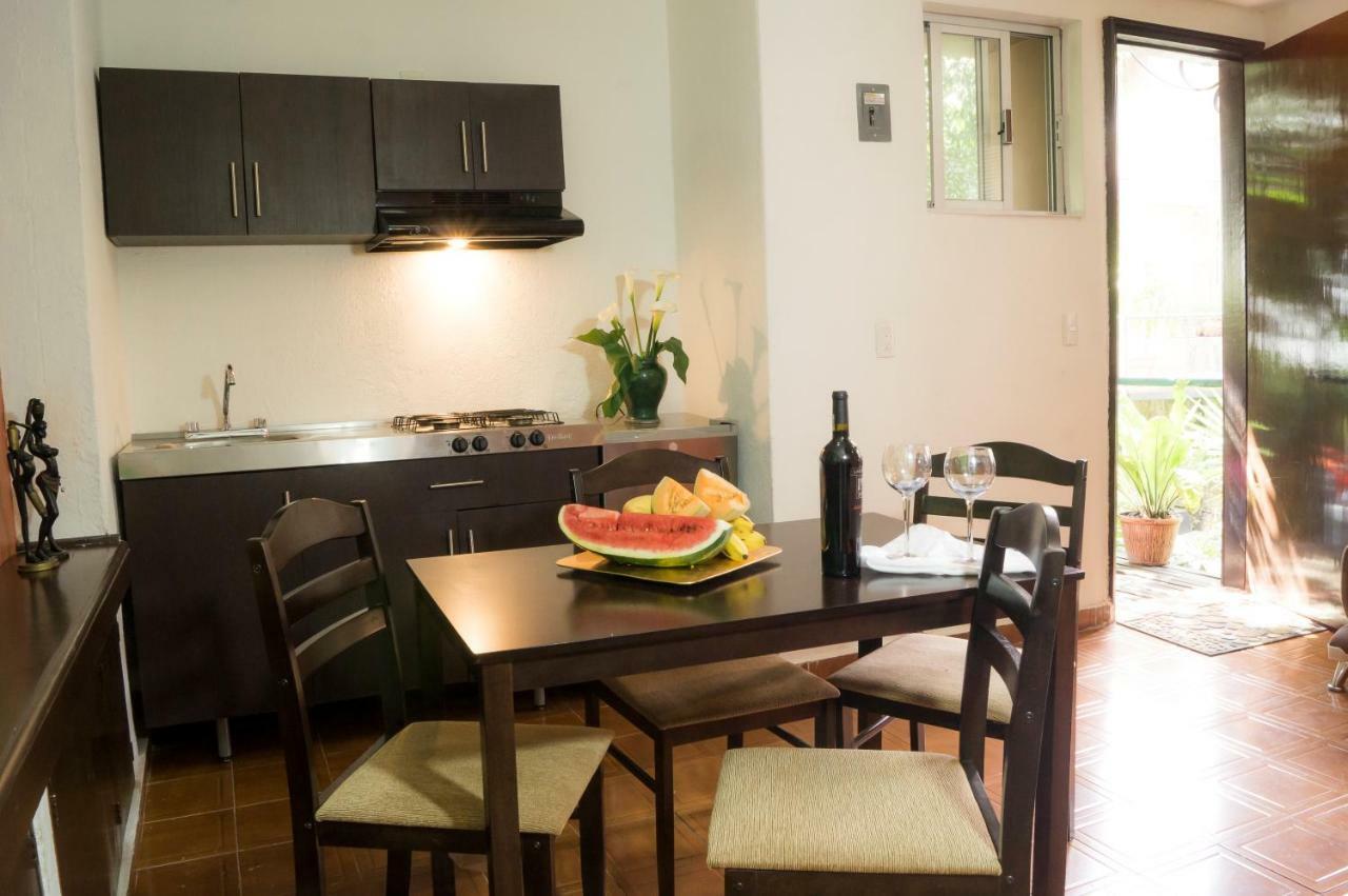 Suite 5A, Altavista, Garden House, Welcome To San Angel Meksyk Zewnętrze zdjęcie