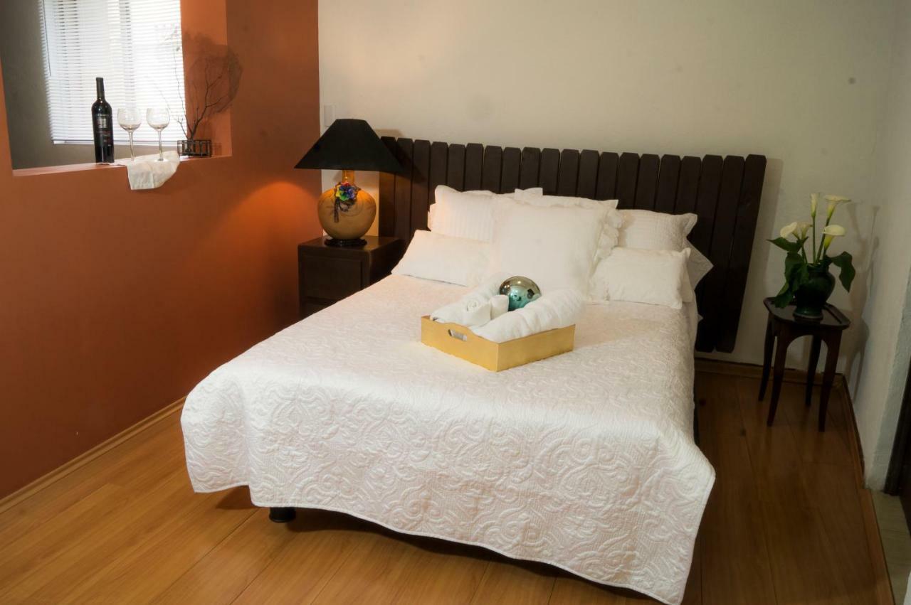 Suite 5A, Altavista, Garden House, Welcome To San Angel Meksyk Zewnętrze zdjęcie