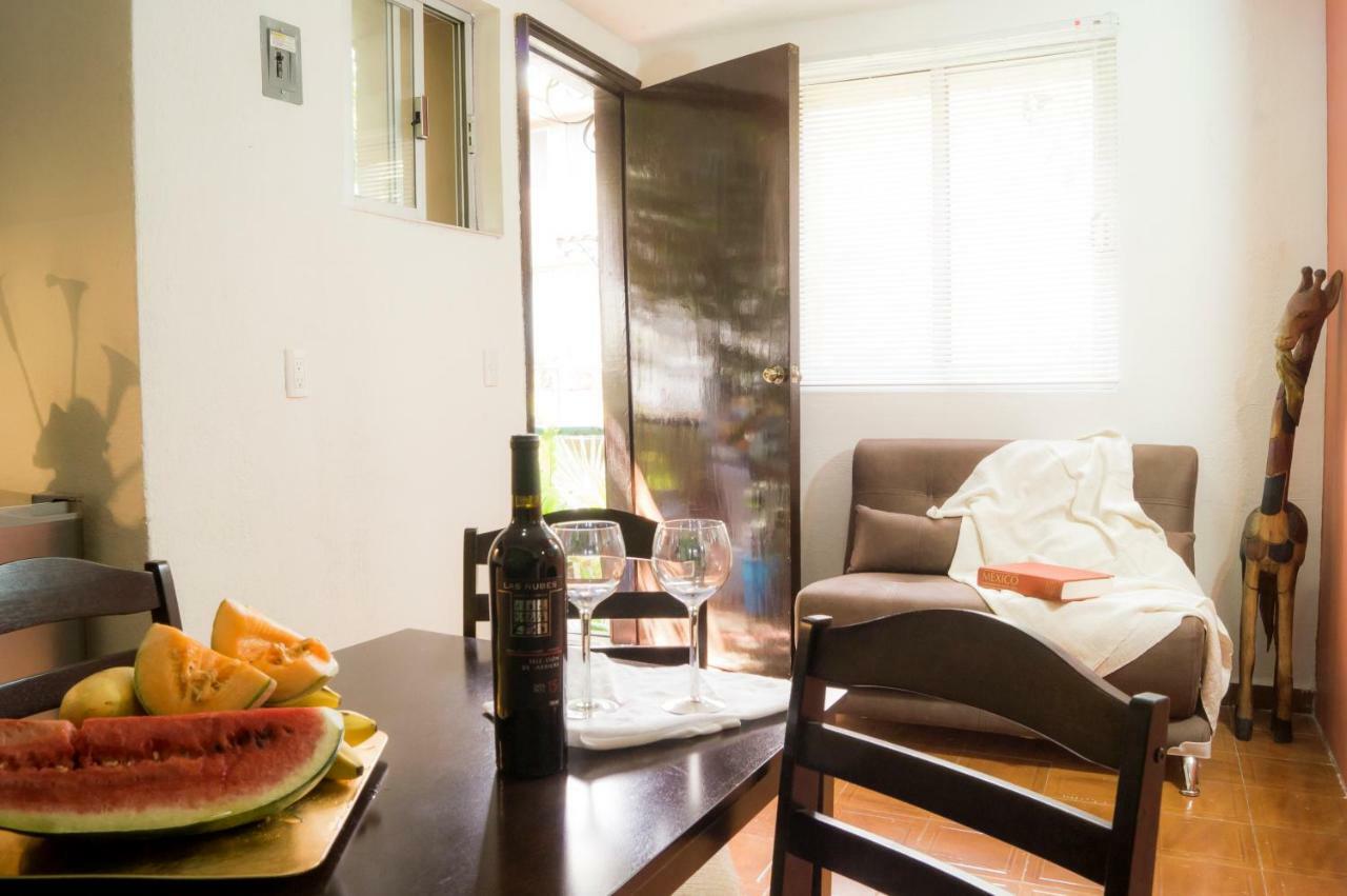 Suite 5A, Altavista, Garden House, Welcome To San Angel Meksyk Zewnętrze zdjęcie